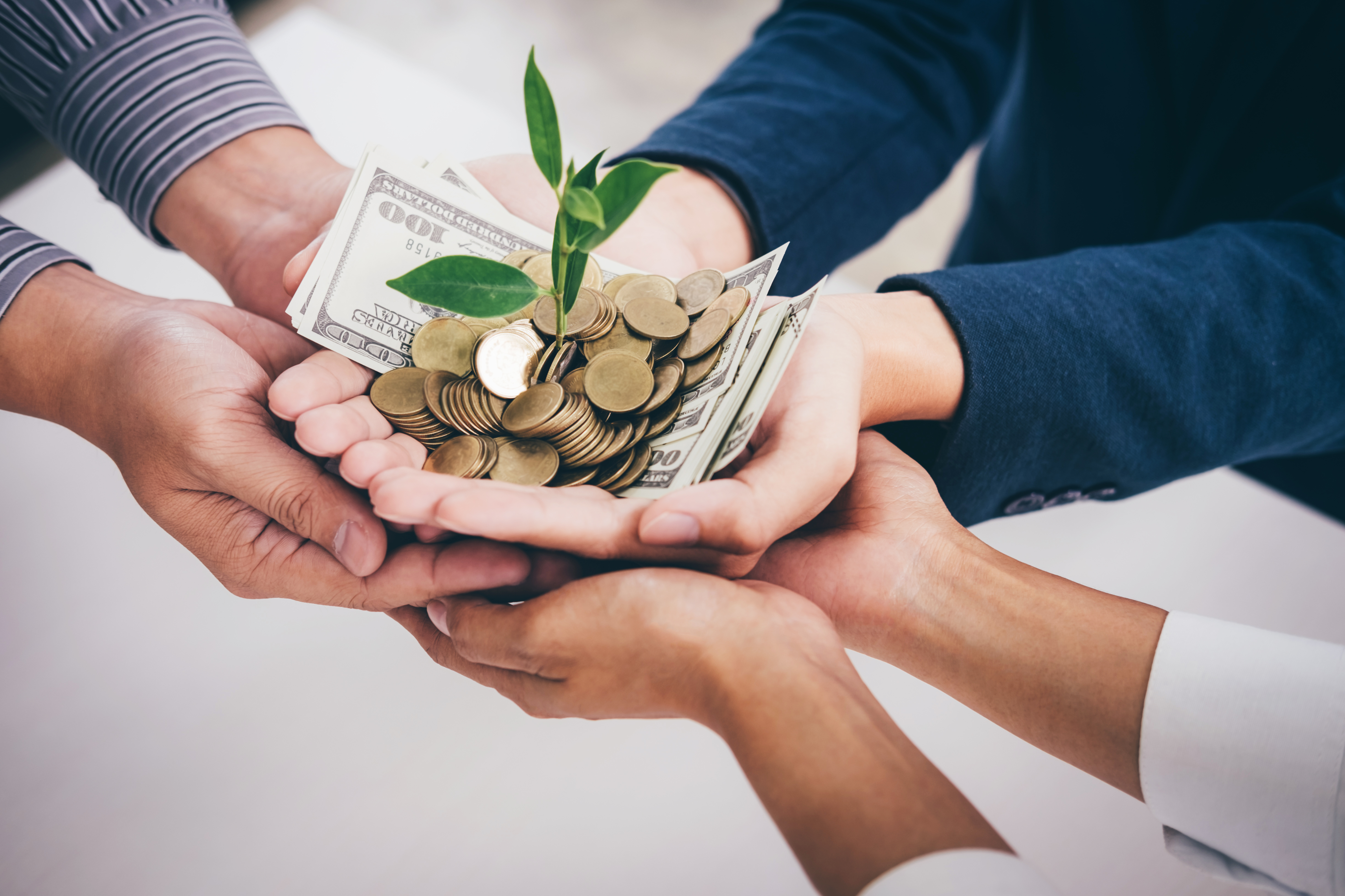 Hands holding money and coins with a small plant growing from them